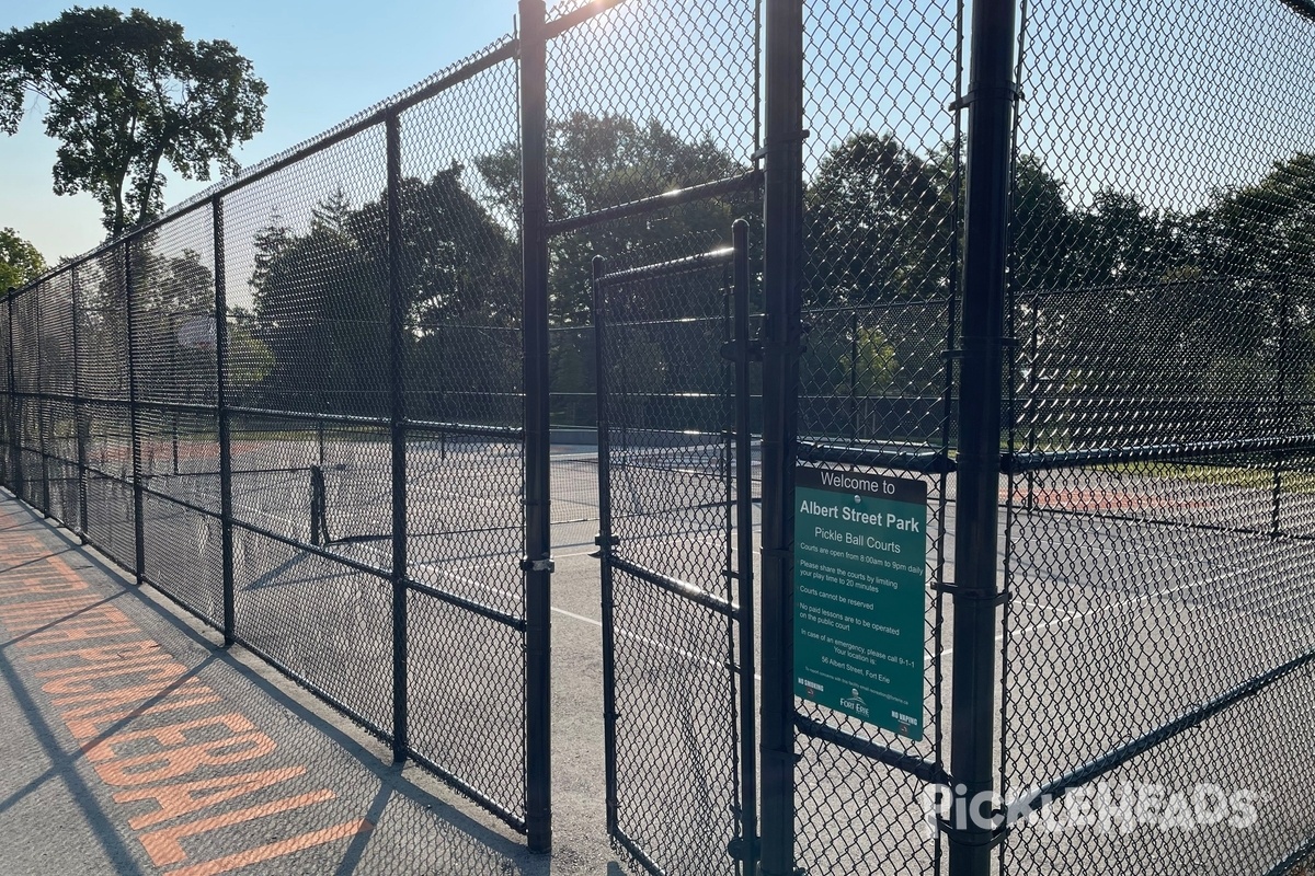 Photo of Pickleball at Albert Street Park